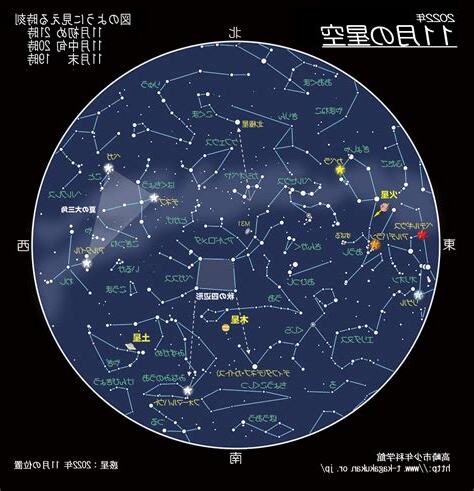 11月 星座